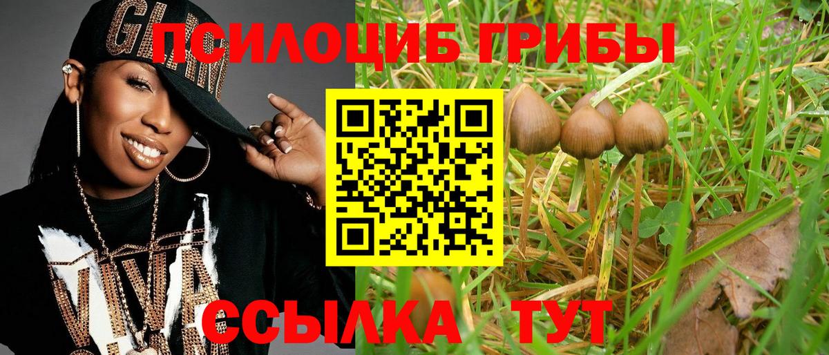 Галлюциногенные грибы MAGIC MUSHROOMS Сертолово
