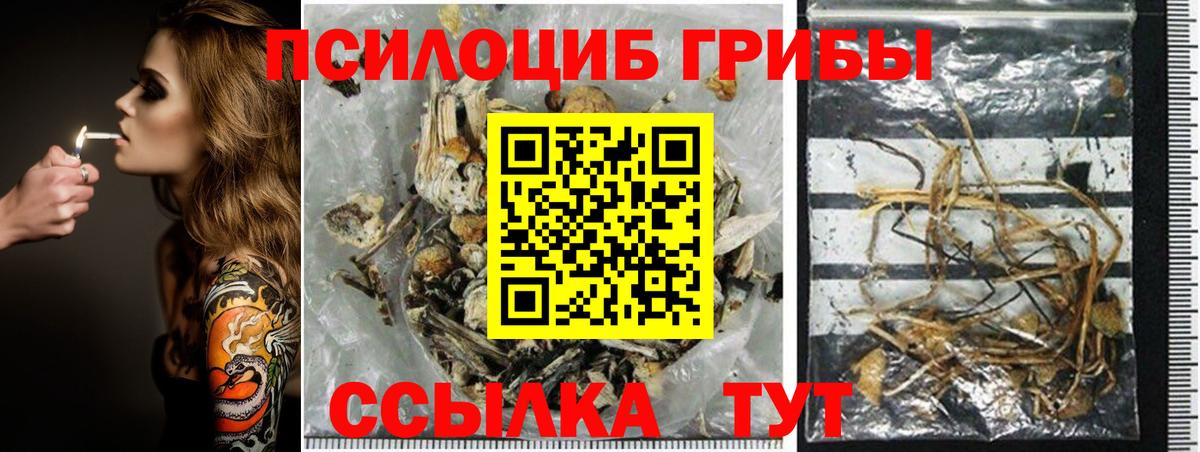 Галлюциногенные грибы Magic Shrooms  Вход с VPN  Сертолово 